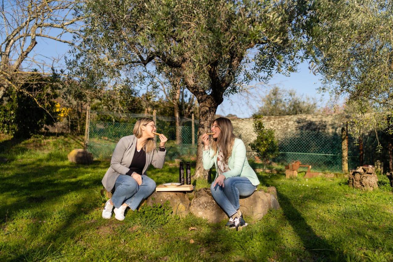 Agriturismo Bellandi Santa Lucia  Extérieur photo