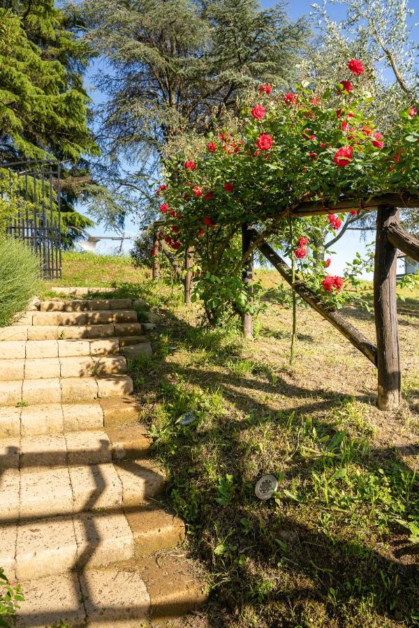 Agriturismo Bellandi Santa Lucia  Extérieur photo
